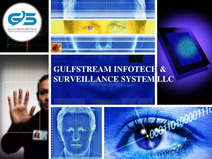 gulfstream infotech surveillance system llc