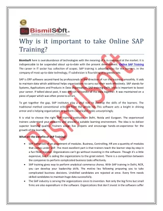 why is it important to take online sap training