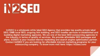 in2seo is a wholesale white label seo agency that
