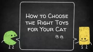 How to Choose the Right Toys for Your Cat