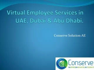 Virtual Employee Services UAE