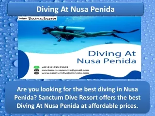 diving at nusa penida