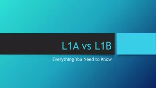 Comparing the L1A and the L1B Visa Explained