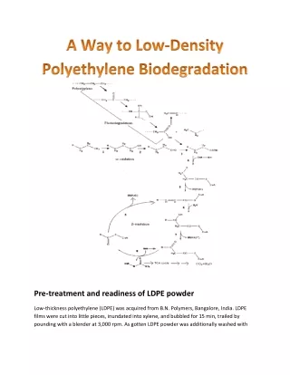 A Way to Low-Density Polyethylene Biodegradation