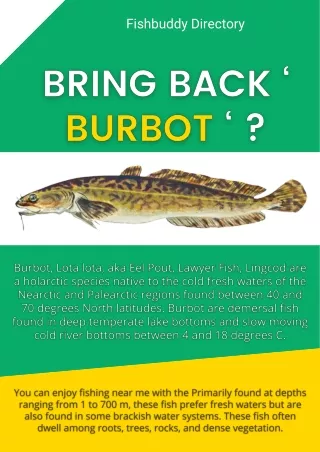 Try Fishing With BURBOT Fish | Fishbuddy Directory
