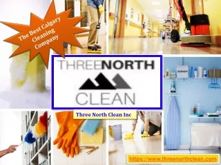 three north clean inc