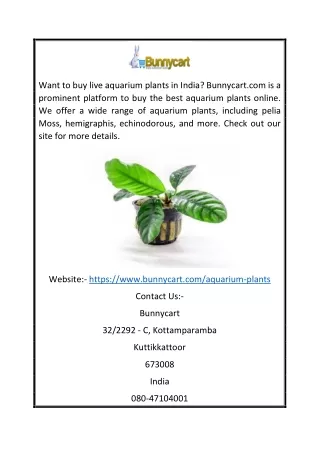 want to buy live aquarium plants in india