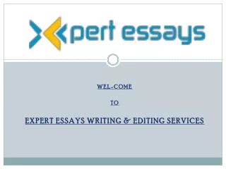 Expert Essays Writers