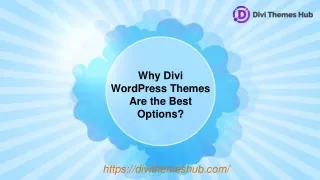 Why Divi WordPress Themes Are the Best Options