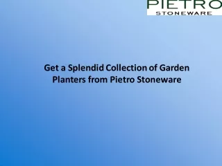 get a splendid collection of garden planters from