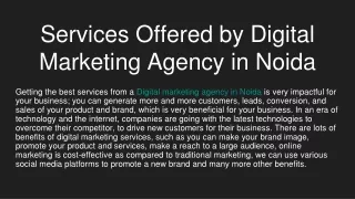 Services Offered by Digital Marketing Agency in Noida