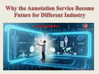 Why the Annotation Service Become Future for Different Industry