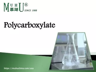 Polycarboxylate Produce by MUHU USA