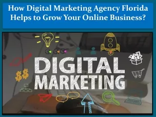 How Digital Marketing Agency Florida Helps to Grow Your Online Business?