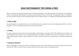 DOG PHOTOGRAPHY TIPS FROM A PRO!