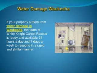 Water Damage Waukesha