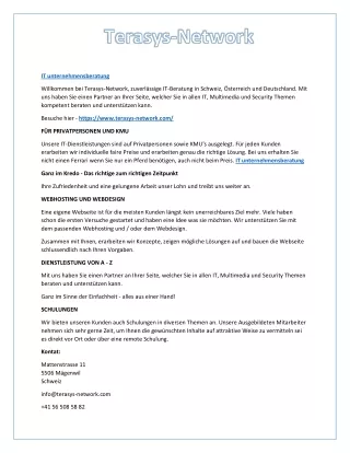 it unternehmensberatung
