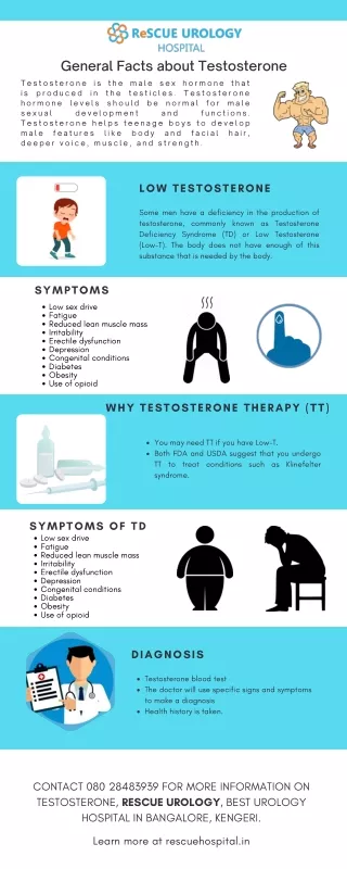 general facts about testosterone