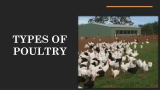 TYPES OF POULTRY FARM | EGIYOK NEWS