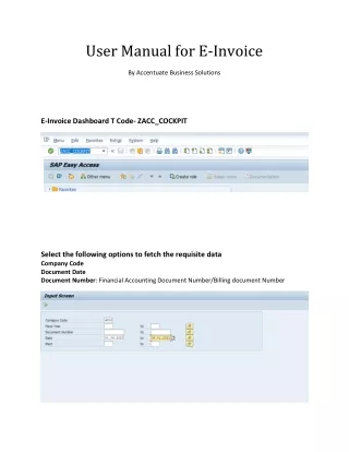 user manual for e invoice
