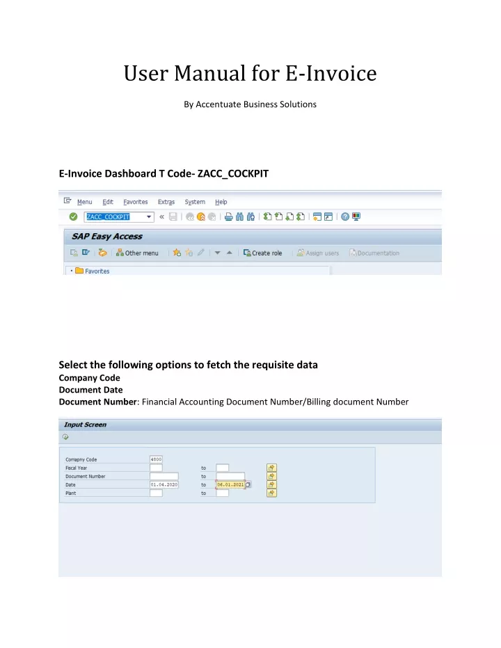user manual for e invoice