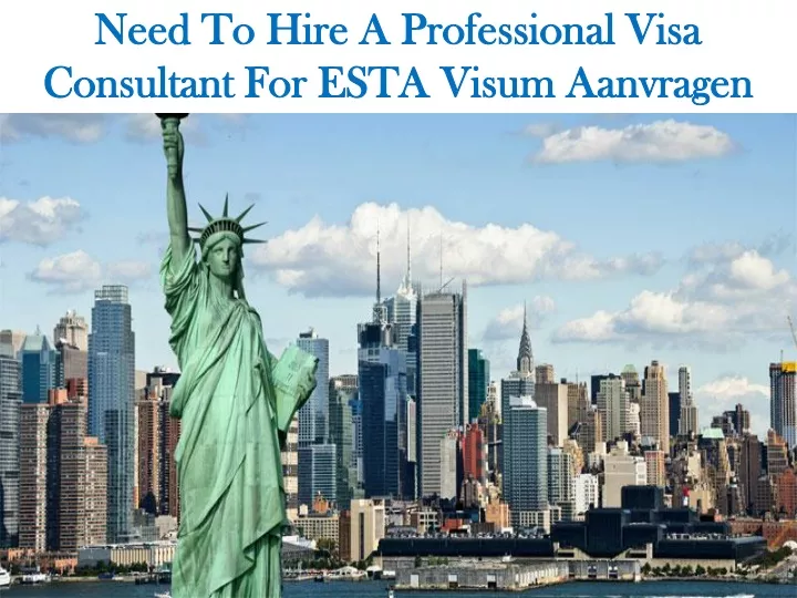 need to hire a professional visa consultant for esta visum aanvragen