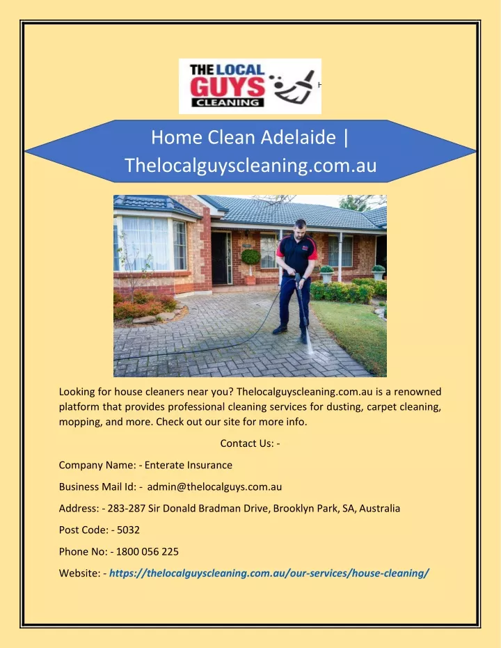 home clean adelaide thelocalguyscleaning com au