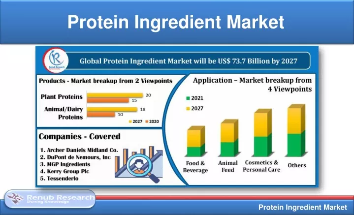 protein ingredient market