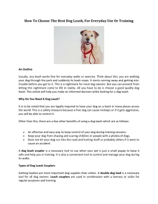 how to choose the best dog leash for everyday