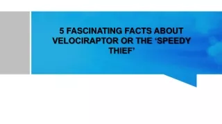 5 fascinating facts about velociraptor or the speedy thief