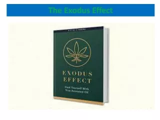 What is The Exodus Effect?