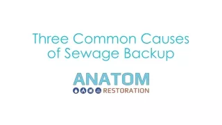 Three Common Causes of Sewage Backup, Anatom Restoration