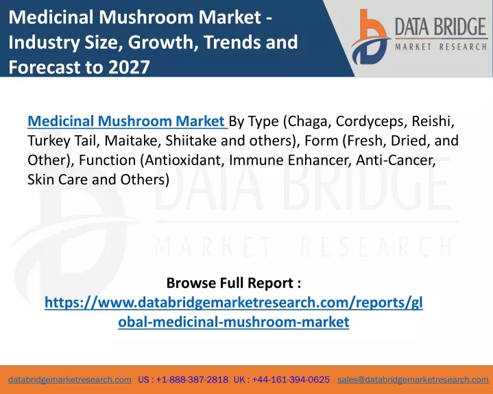 medicinal mushroom market industry size growth