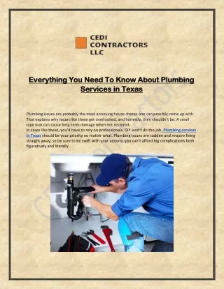 Everything You Need To Know About Plumbing Services And Service Providers in Texas