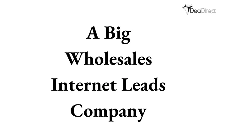 a big wholesales internet leads company