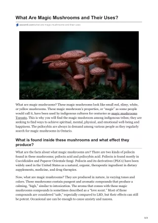 What Are Magic Mushrooms And Their Uses?