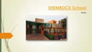 shemrock school
