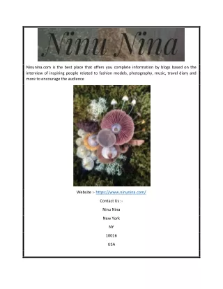 Ninu Nina Interviews | Ninunina.com