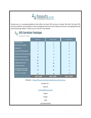 CFO Services In Dubai | Finouts.com