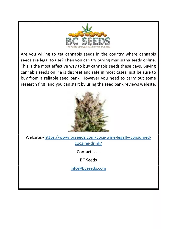 are you willing to get cannabis seeds