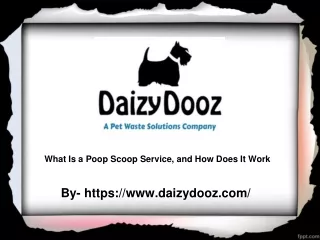 What Is a Poop Scoop Service, and How Does It work