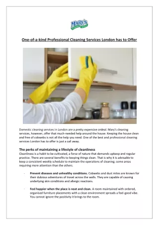 One-of-a-kind Professional Cleaning Services London has to Offer