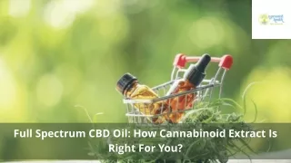 Online CBD  store for Full Spectrum CBD Oil | UProoted Health