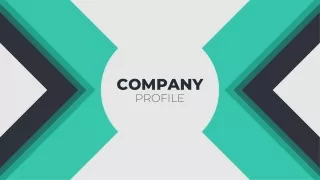 Company Profile AV