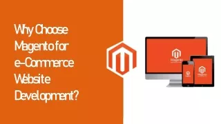 why choose magento for e commerce website