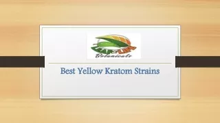 Best Yellow Kratom Strains