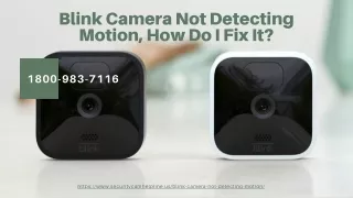 blink camera not detecting motion how do i fix it