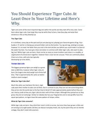 you should experience tiger cubs at least once