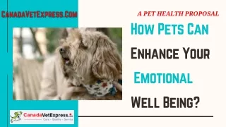 a pet health proposal how pets can