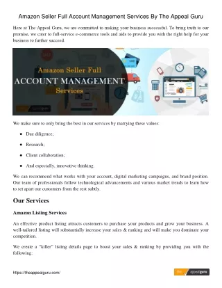 Amazon Seller Central Account Management Services